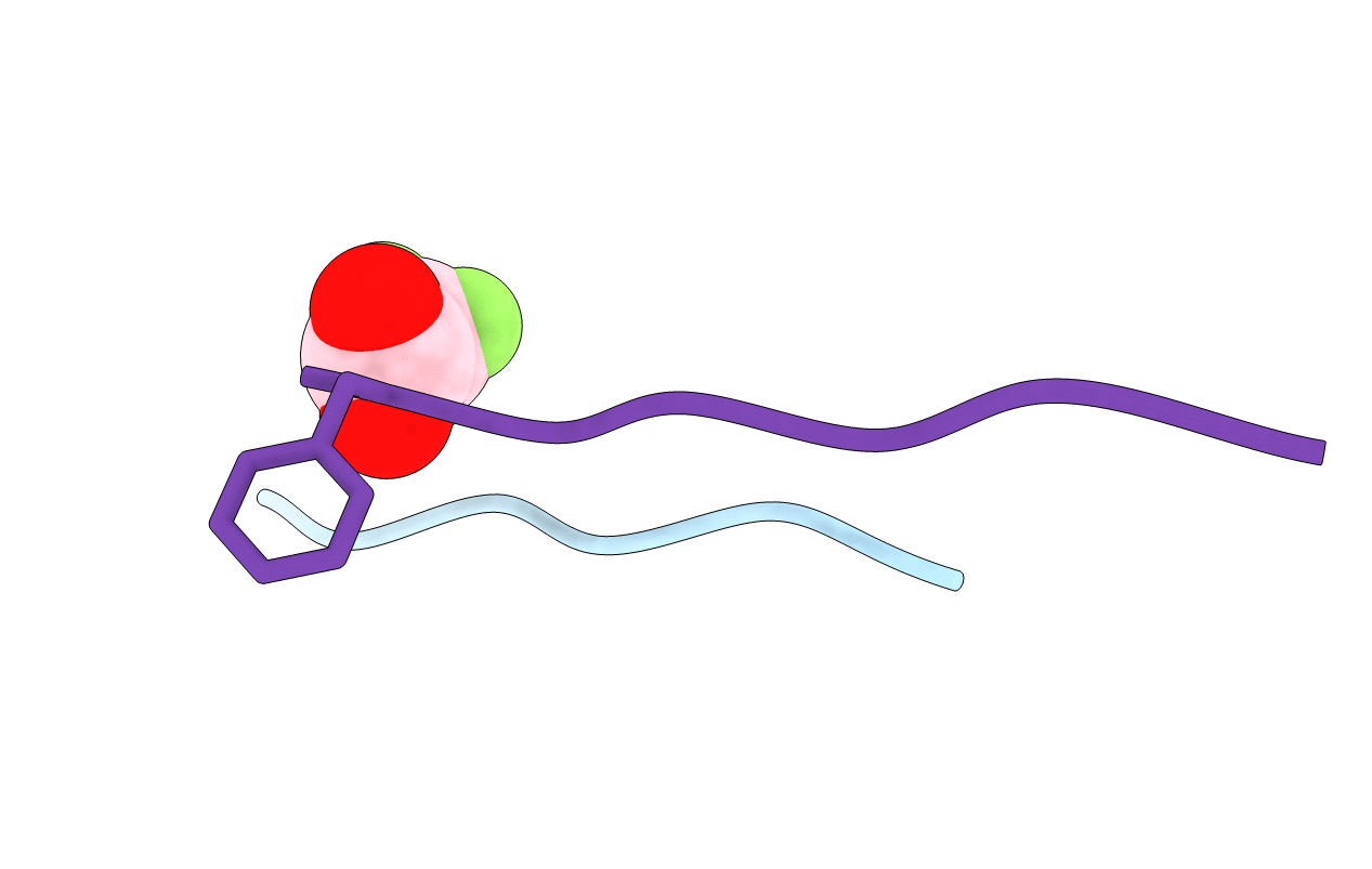 7N8R image