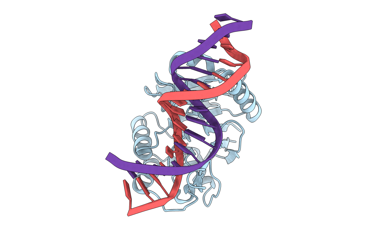 7N8S image