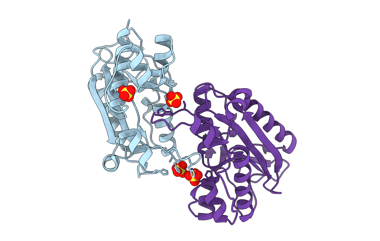 7N8V image