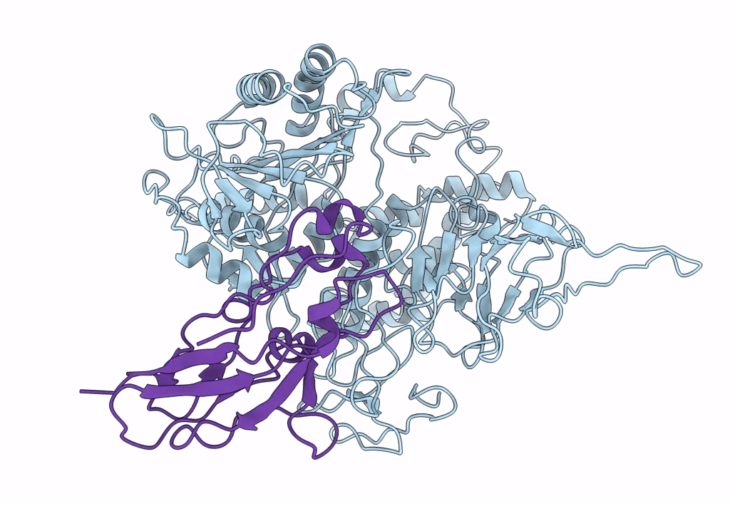 7N8X image