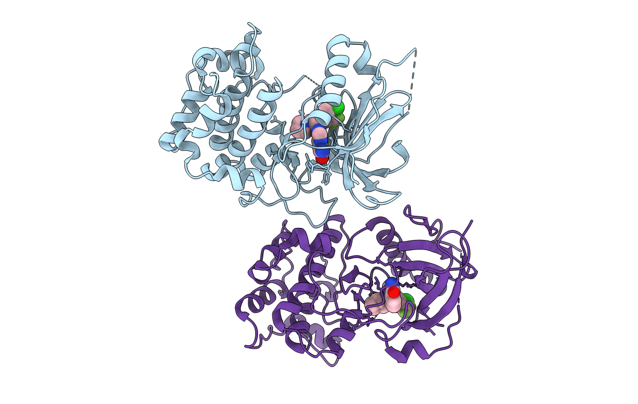 7N93 image