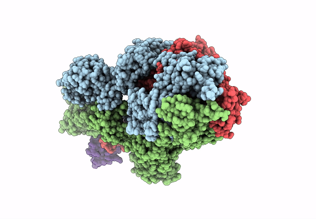 7N9B image
