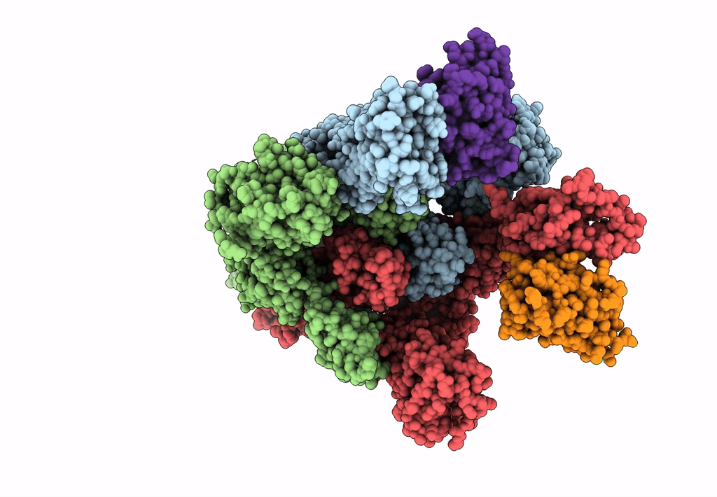 7N9C image
