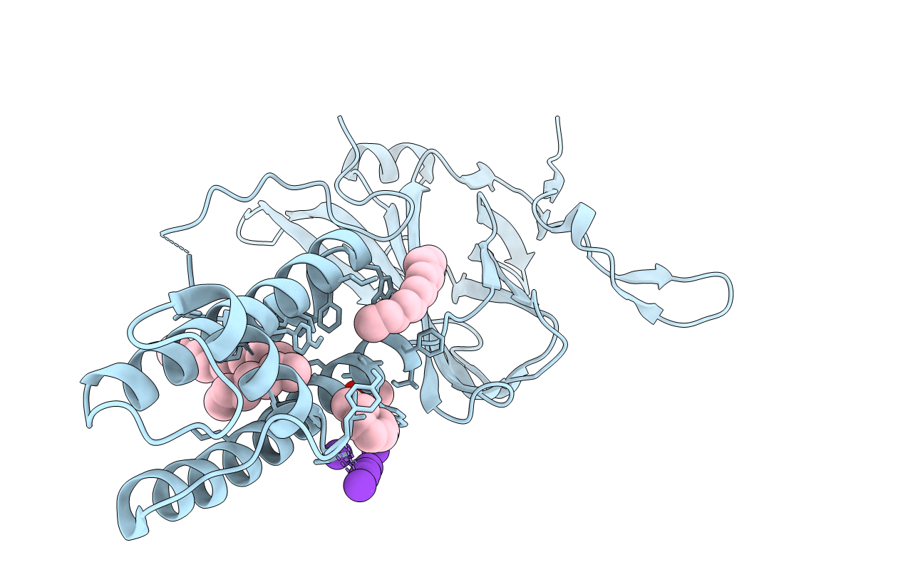 7N9K image