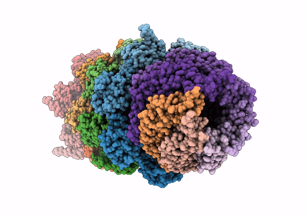 7NAO image
