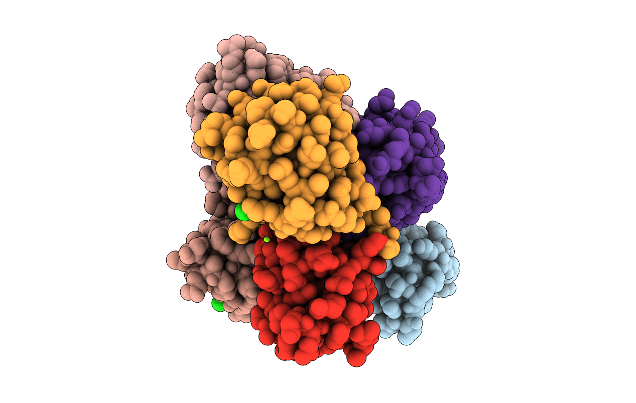7NBB image