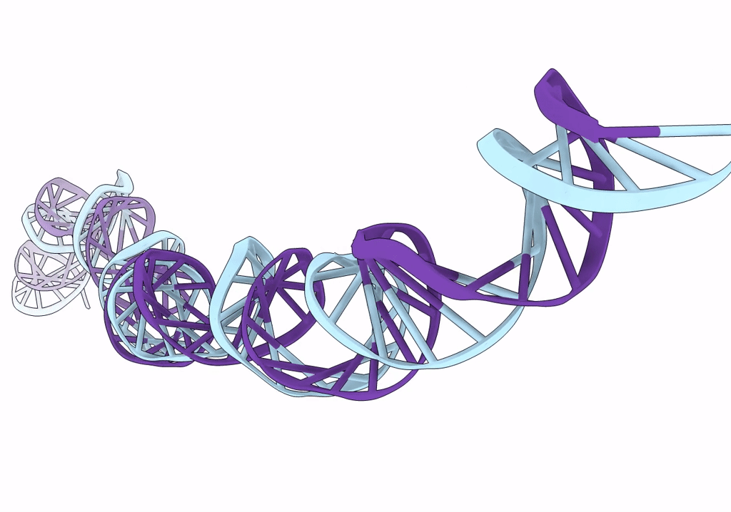 7NBN image