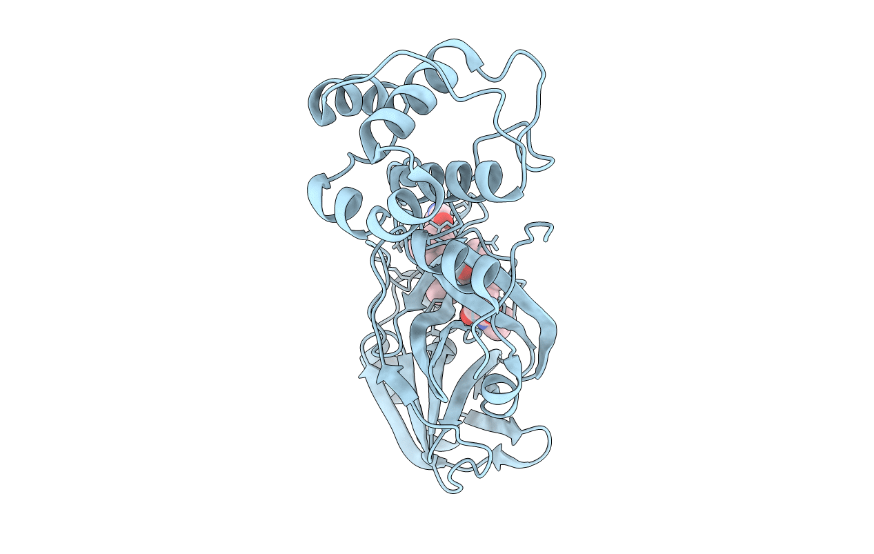 7NBS image