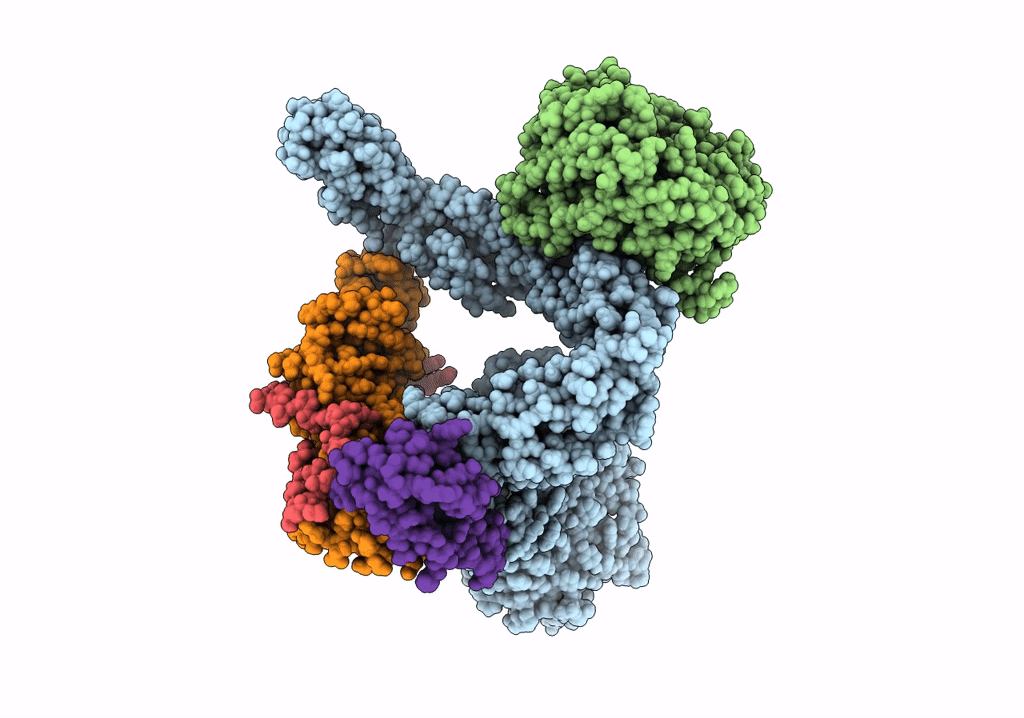 7NBX image