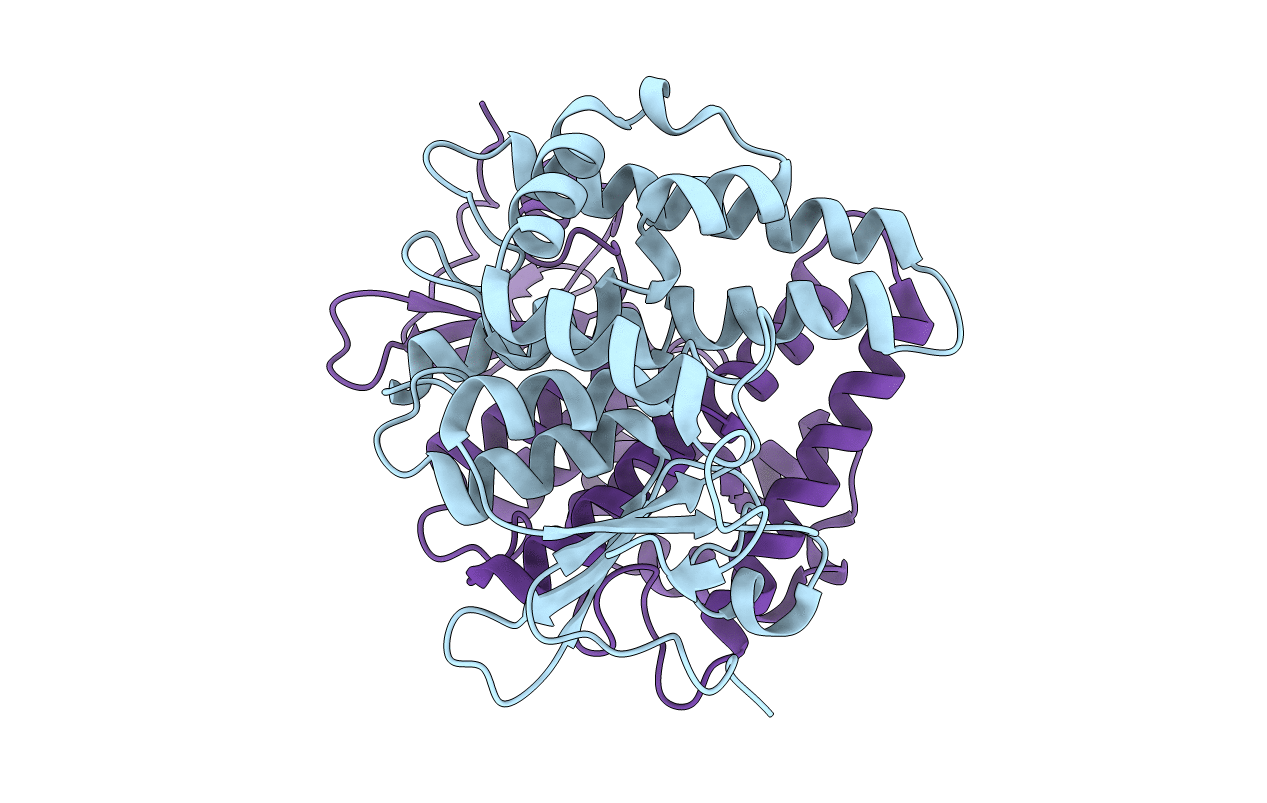 7NC2 image
