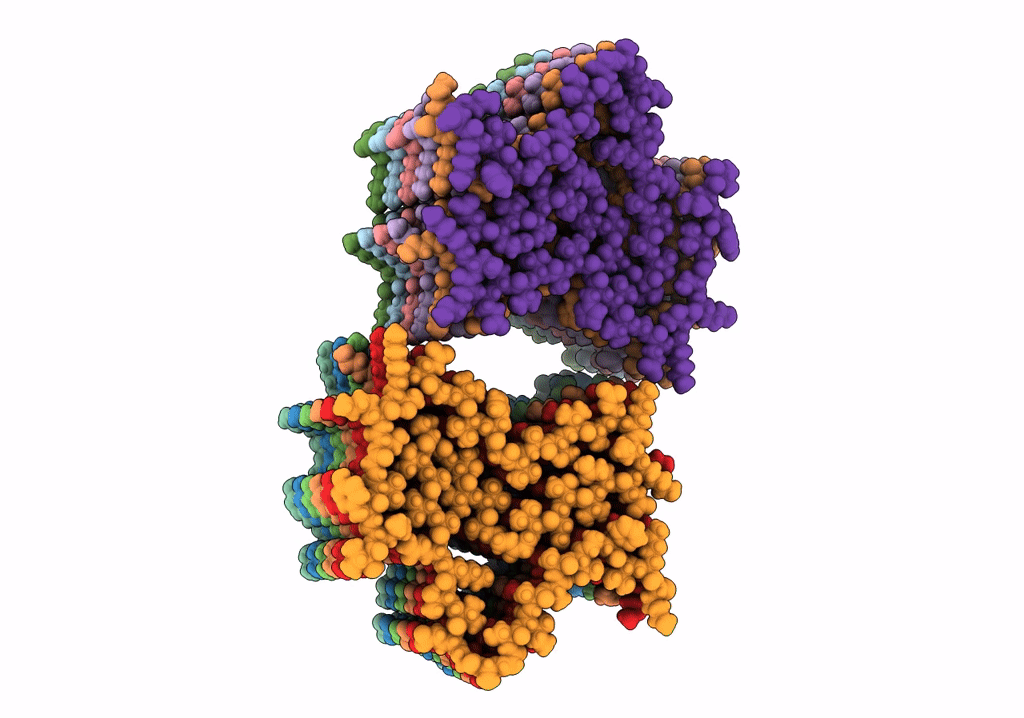 7NCA image