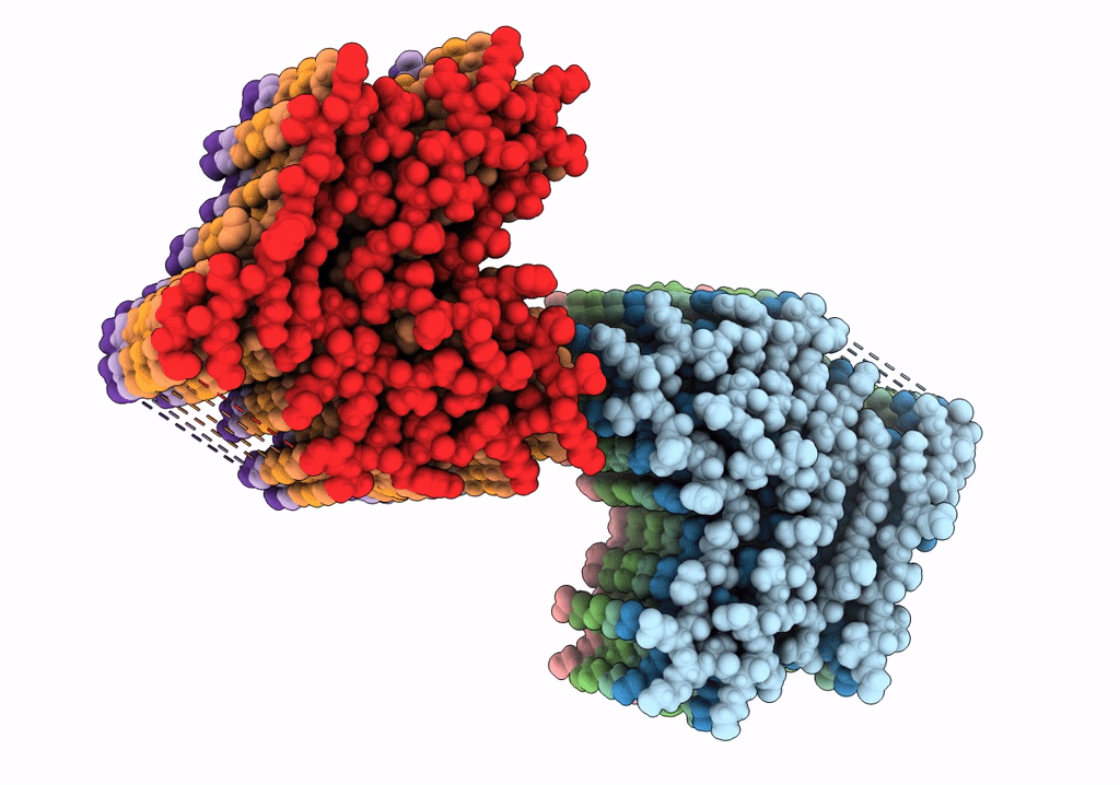 7NCI image