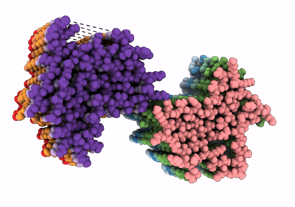 7NCJ image