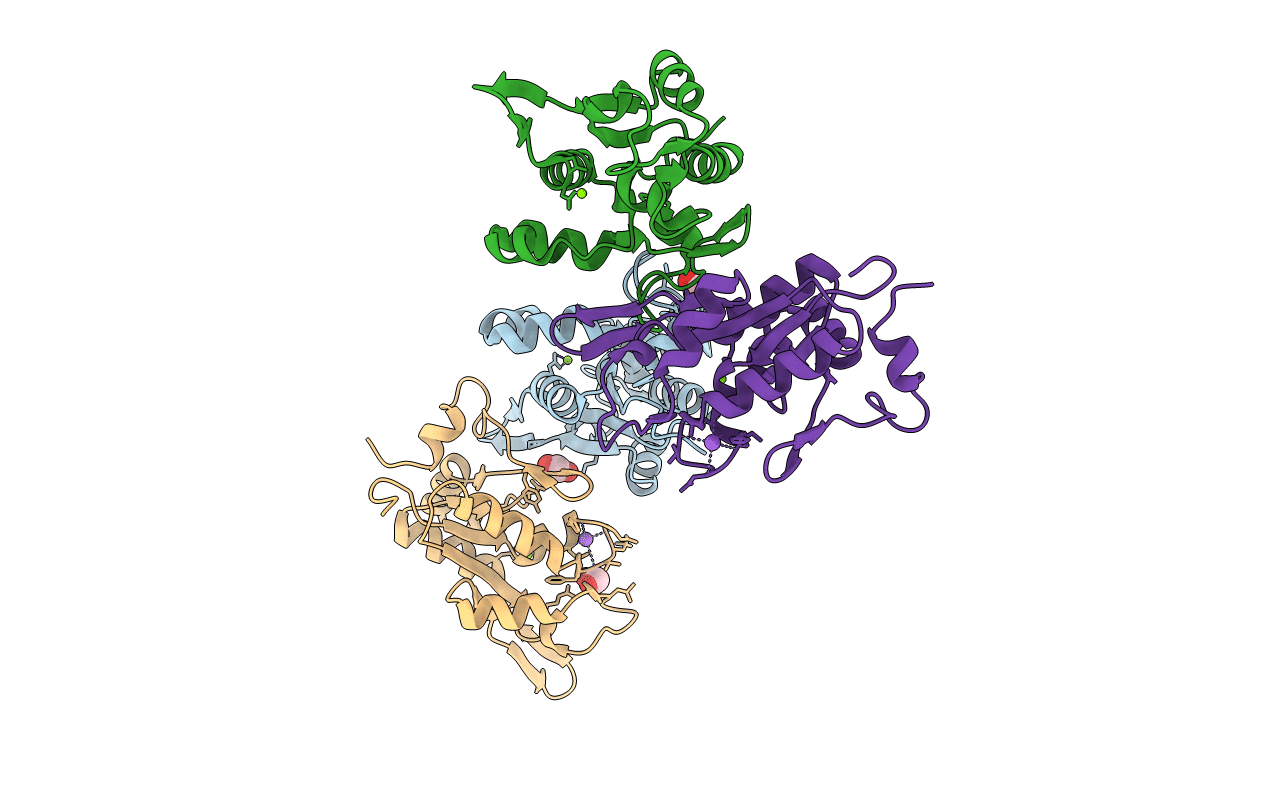 7NDI image