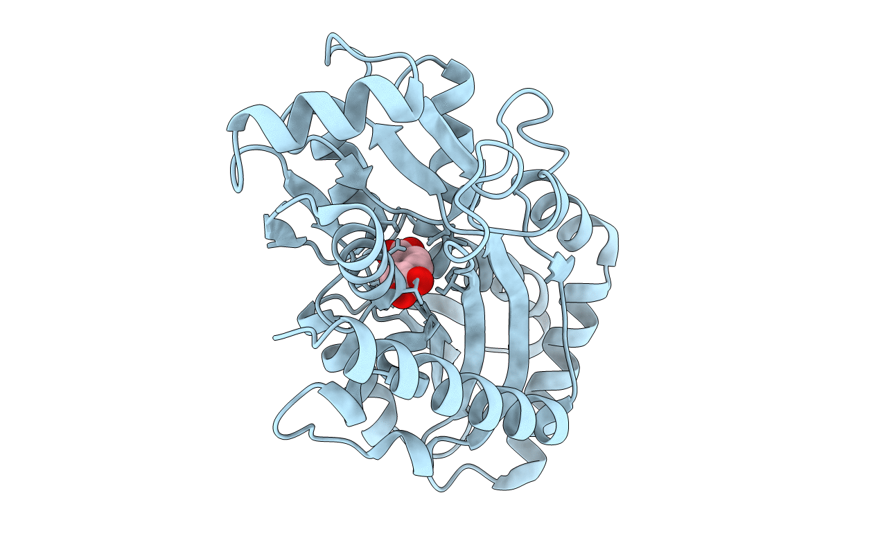7NDS image