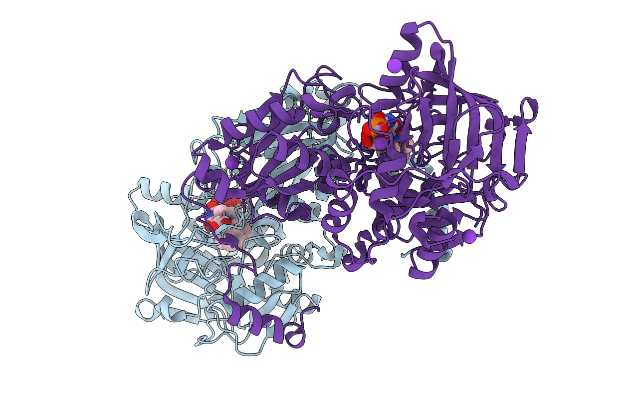 7NF1 image
