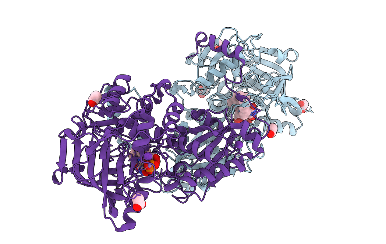 7NF2 image
