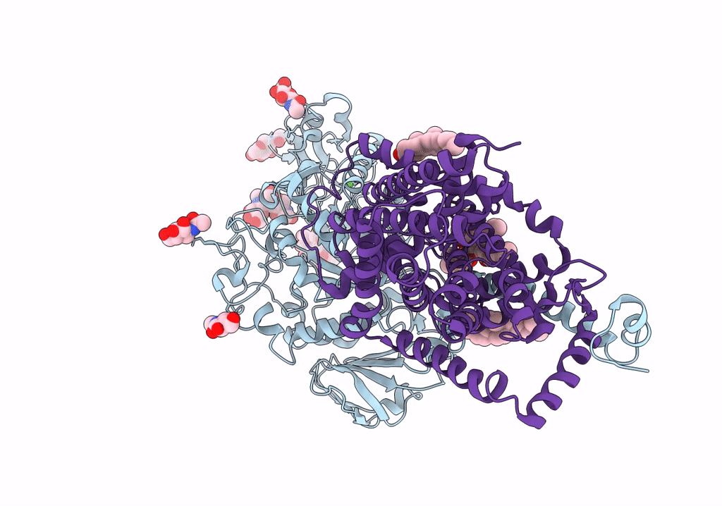 7NF6 image