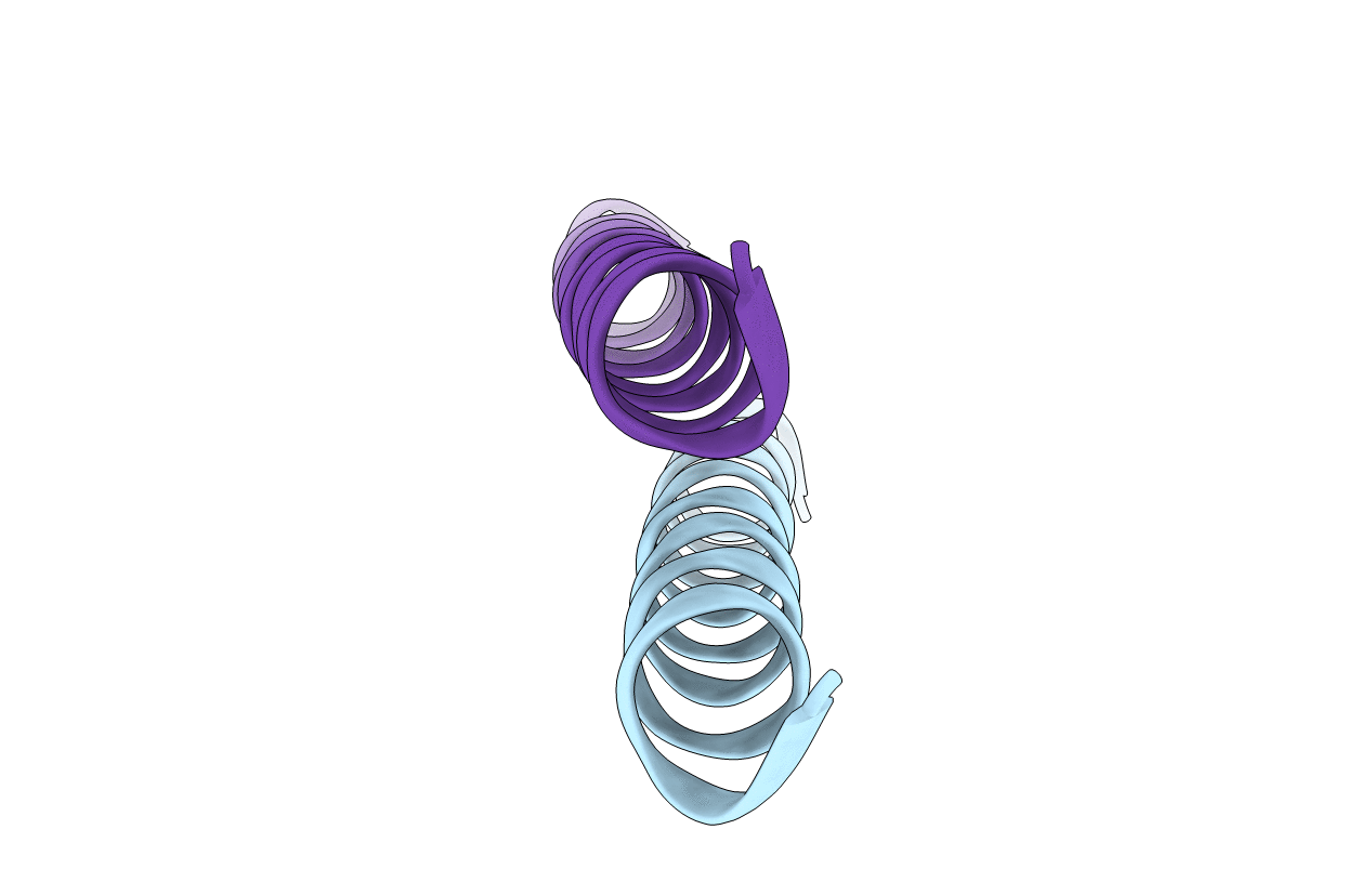 7NFI image