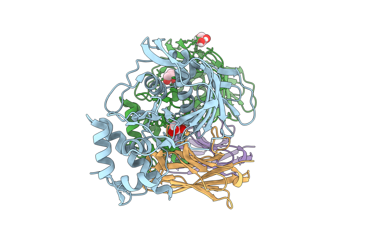 7NFQ image