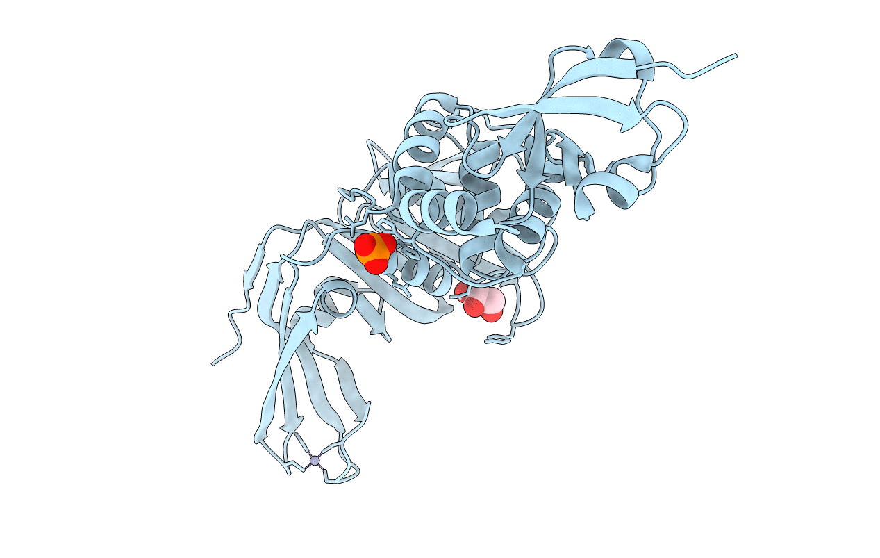 7nfv image