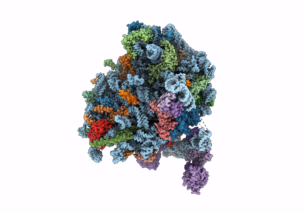 7NFX image