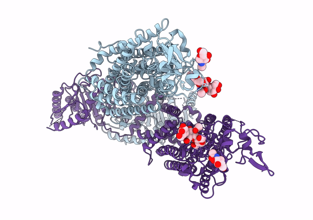 7NGB image