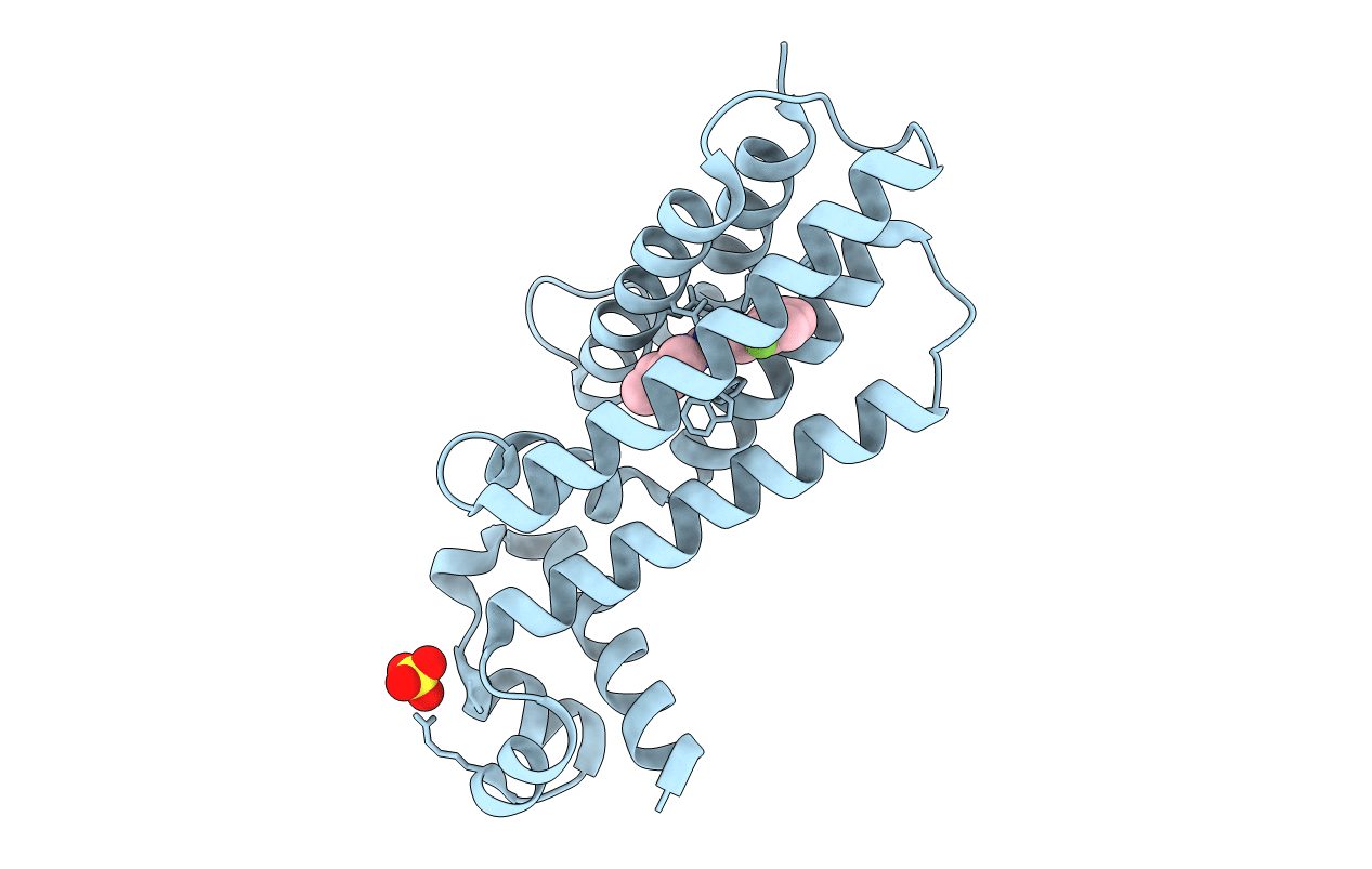 7NGI image