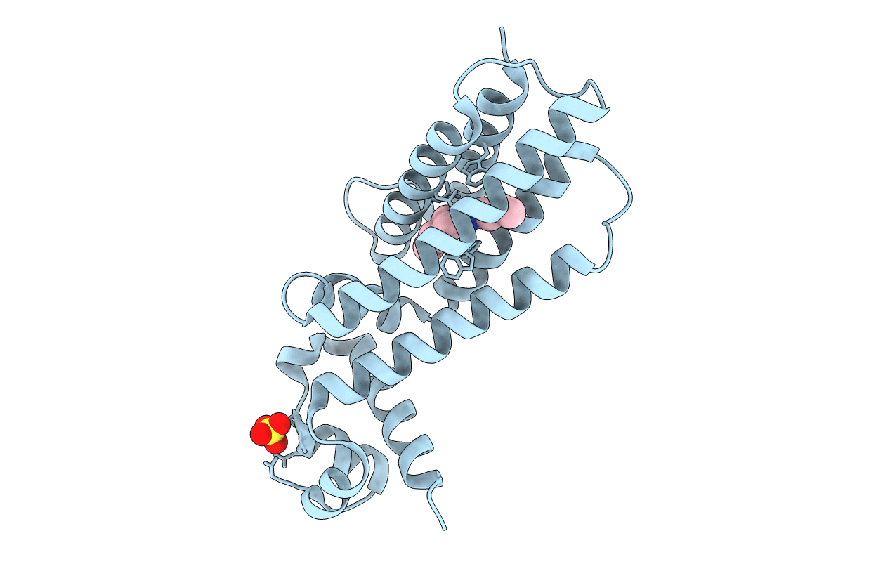 7NGT image