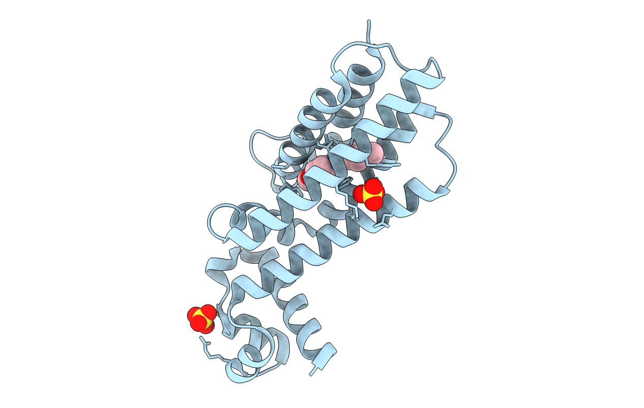 7NGU image