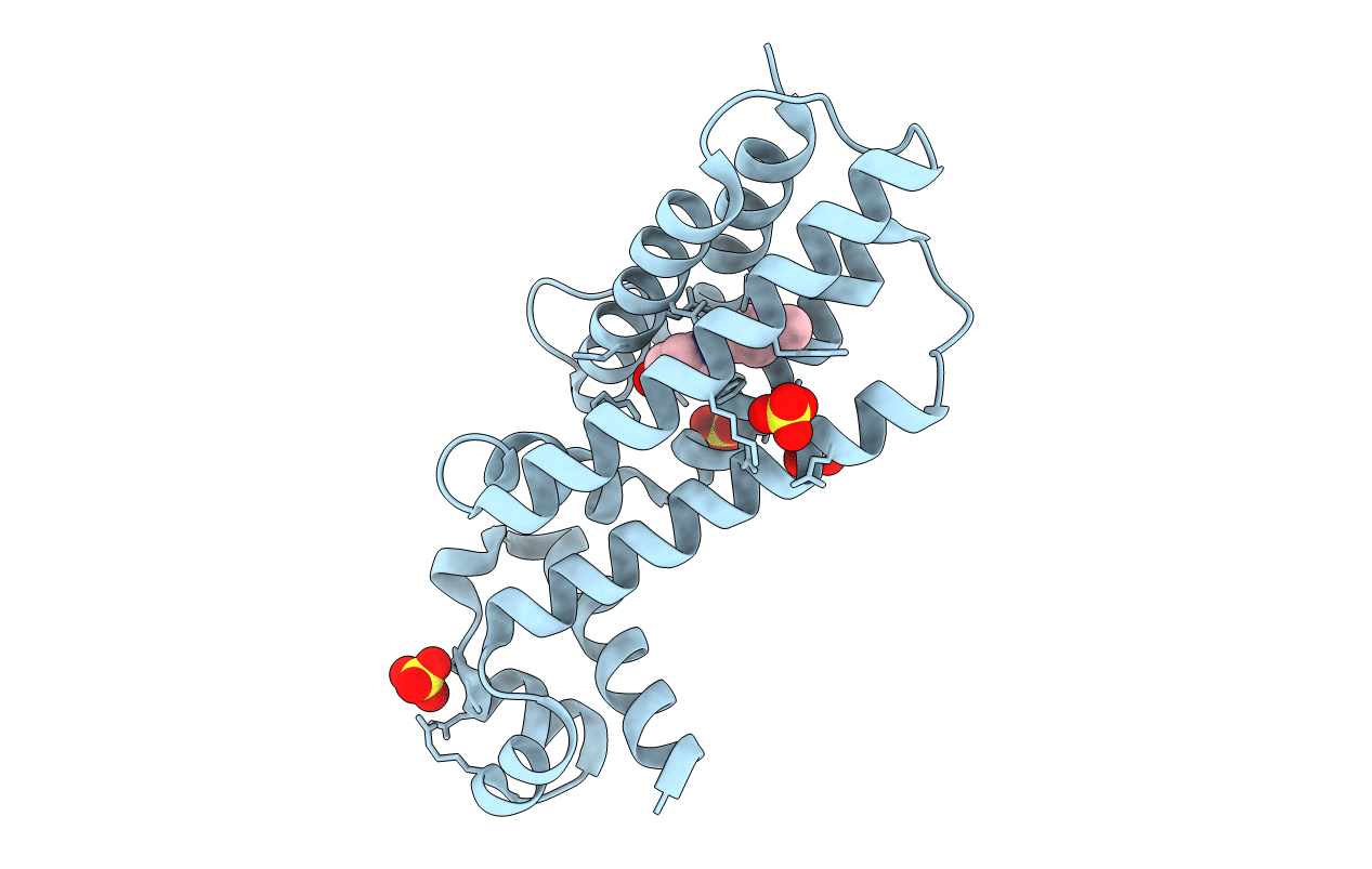 7NGW image