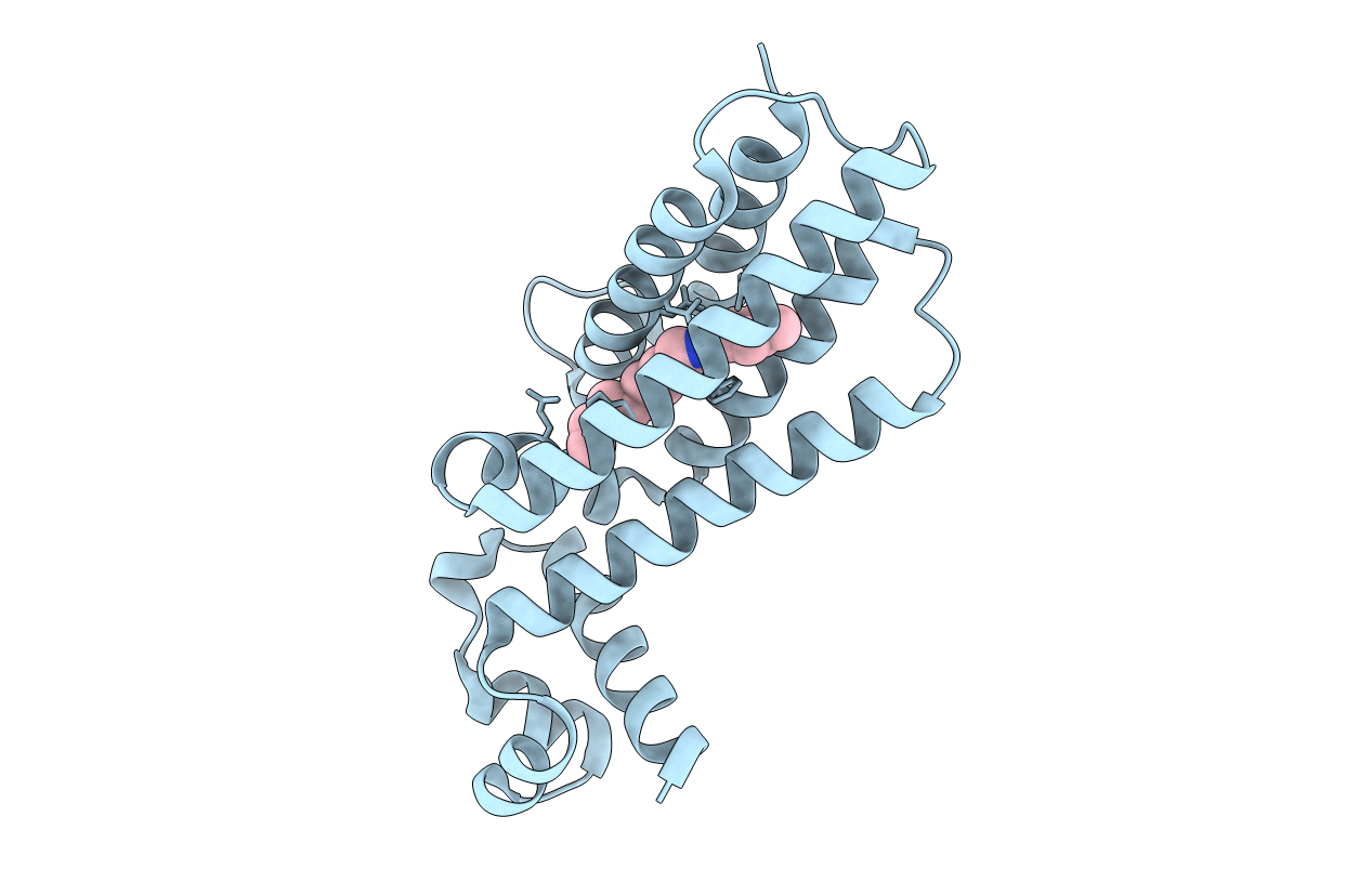 7NGX image