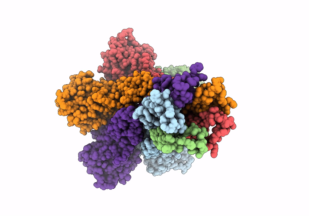 7NH9 image