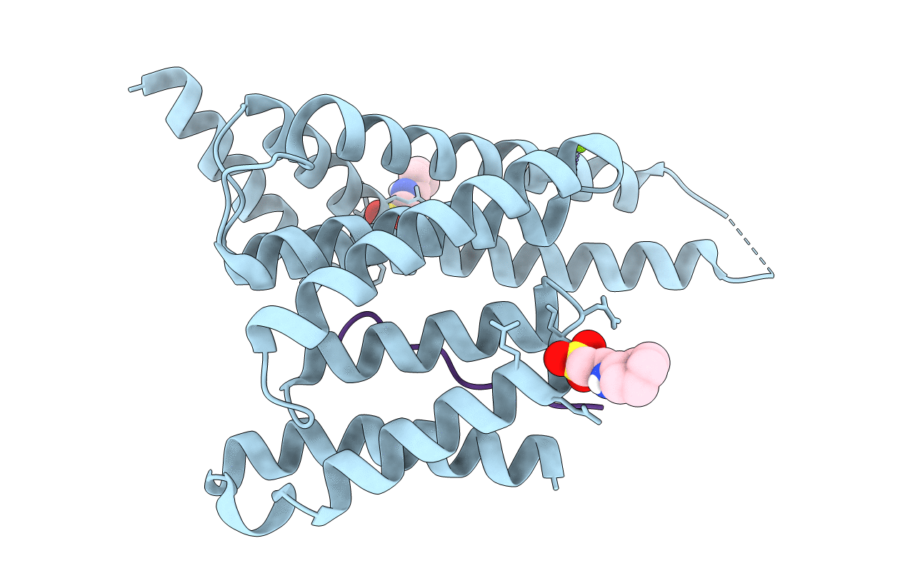 7NIX image