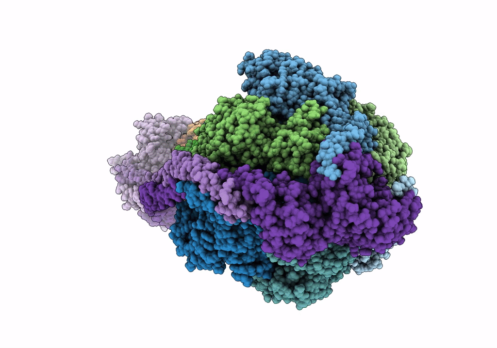 7NJM image