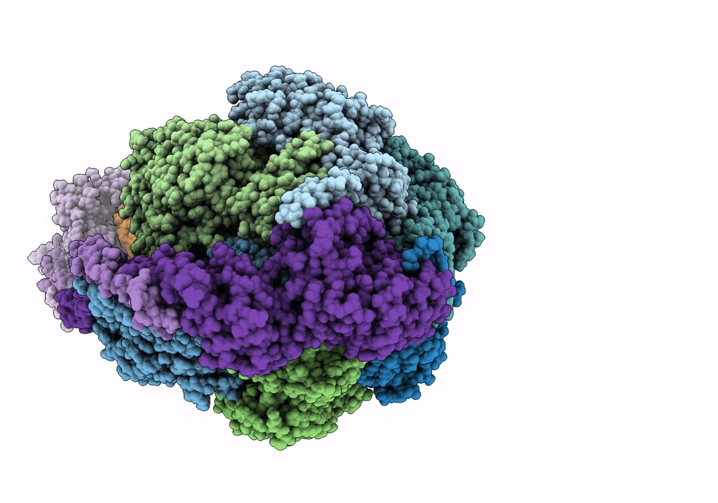 7NJP image