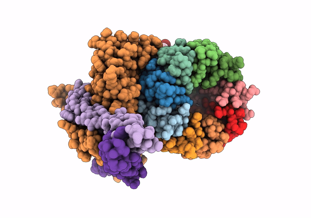 7NJV image