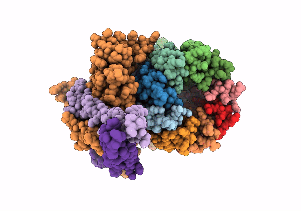 7NJX image