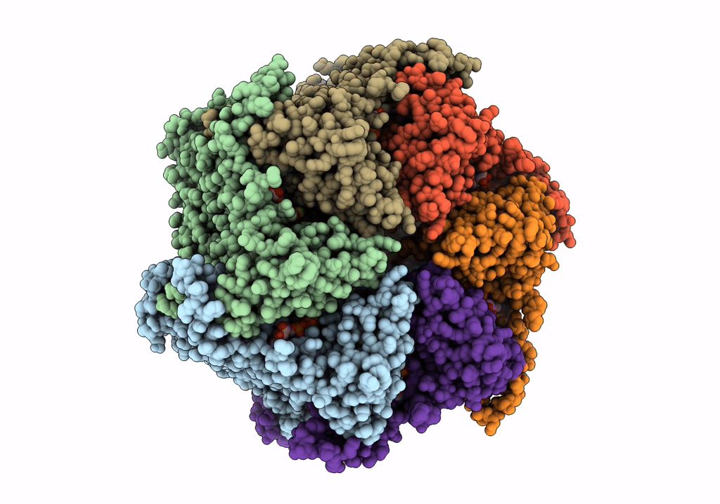 7NKU image