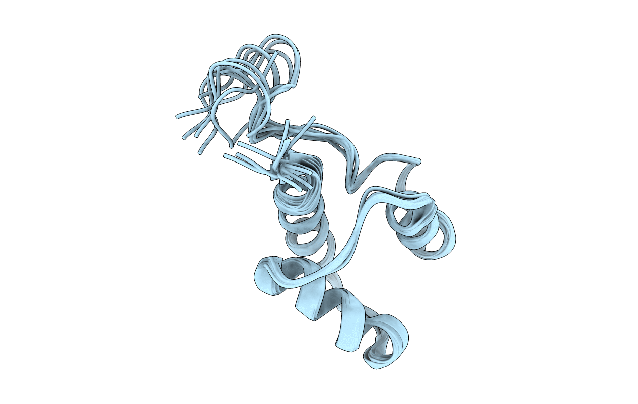 7NKV image