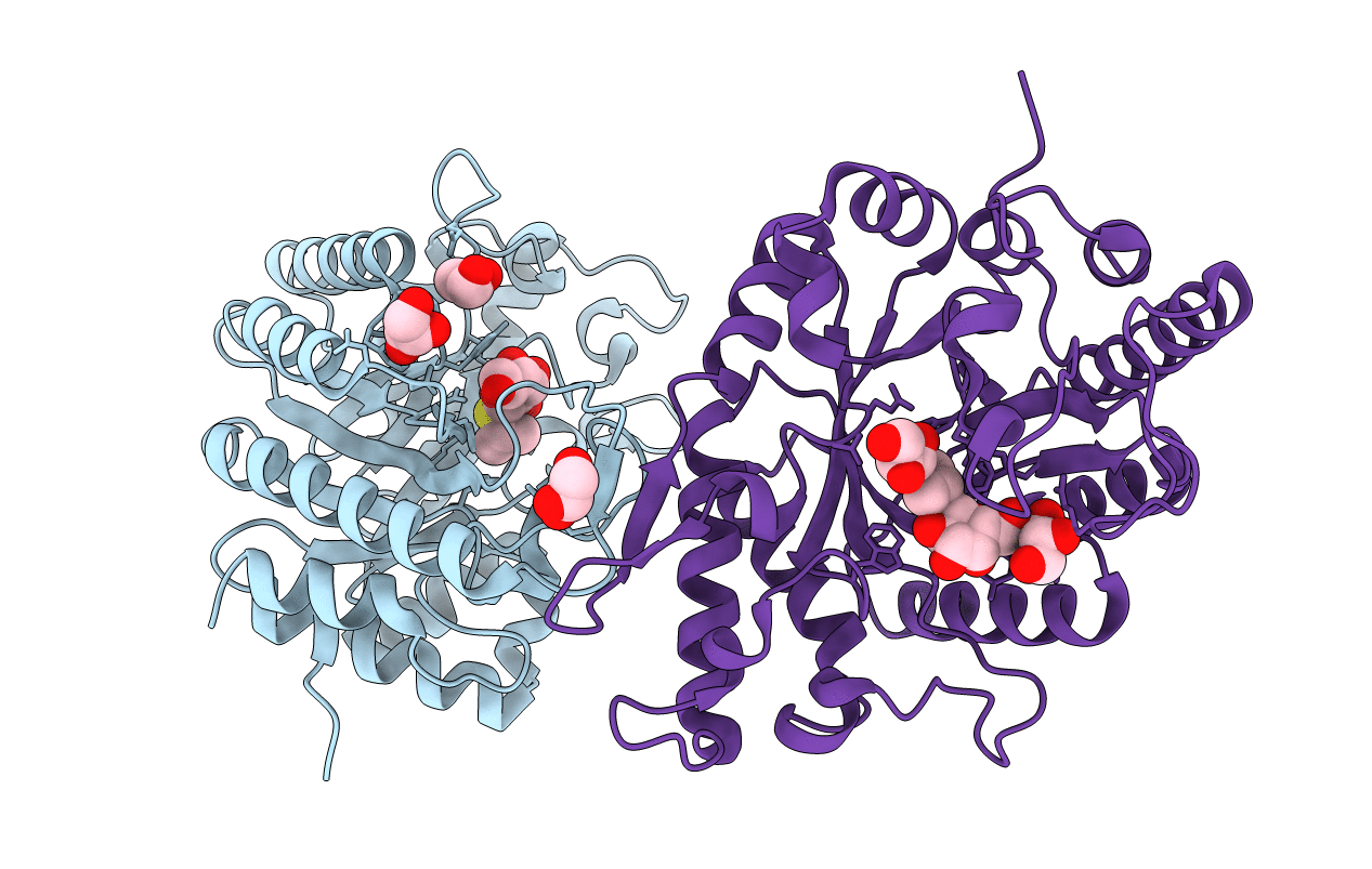 7NL2 image