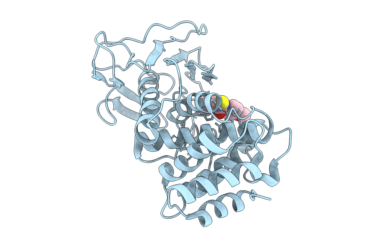 7NLM image