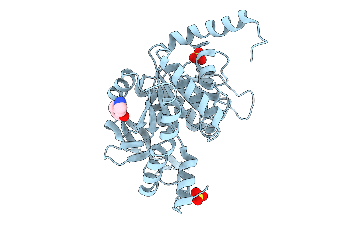 7NLQ image
