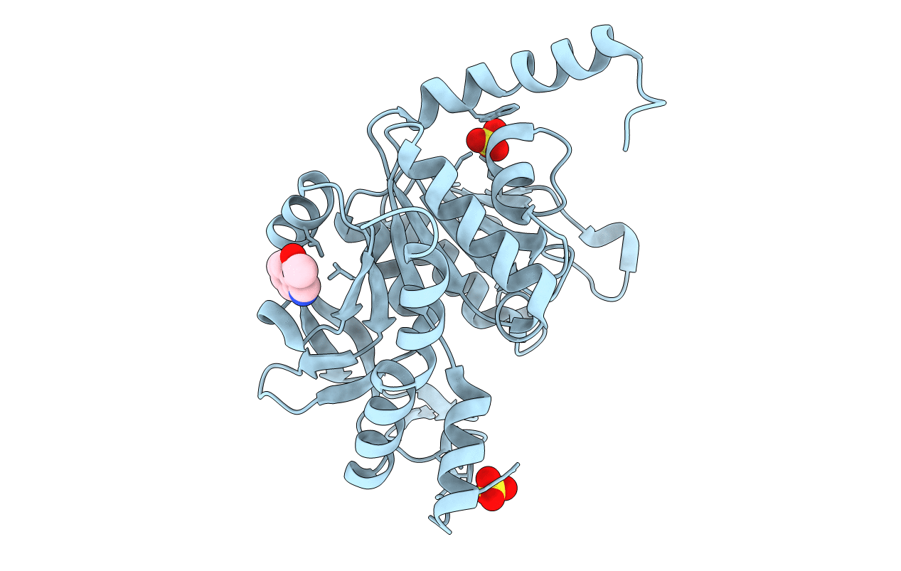 7NLU image