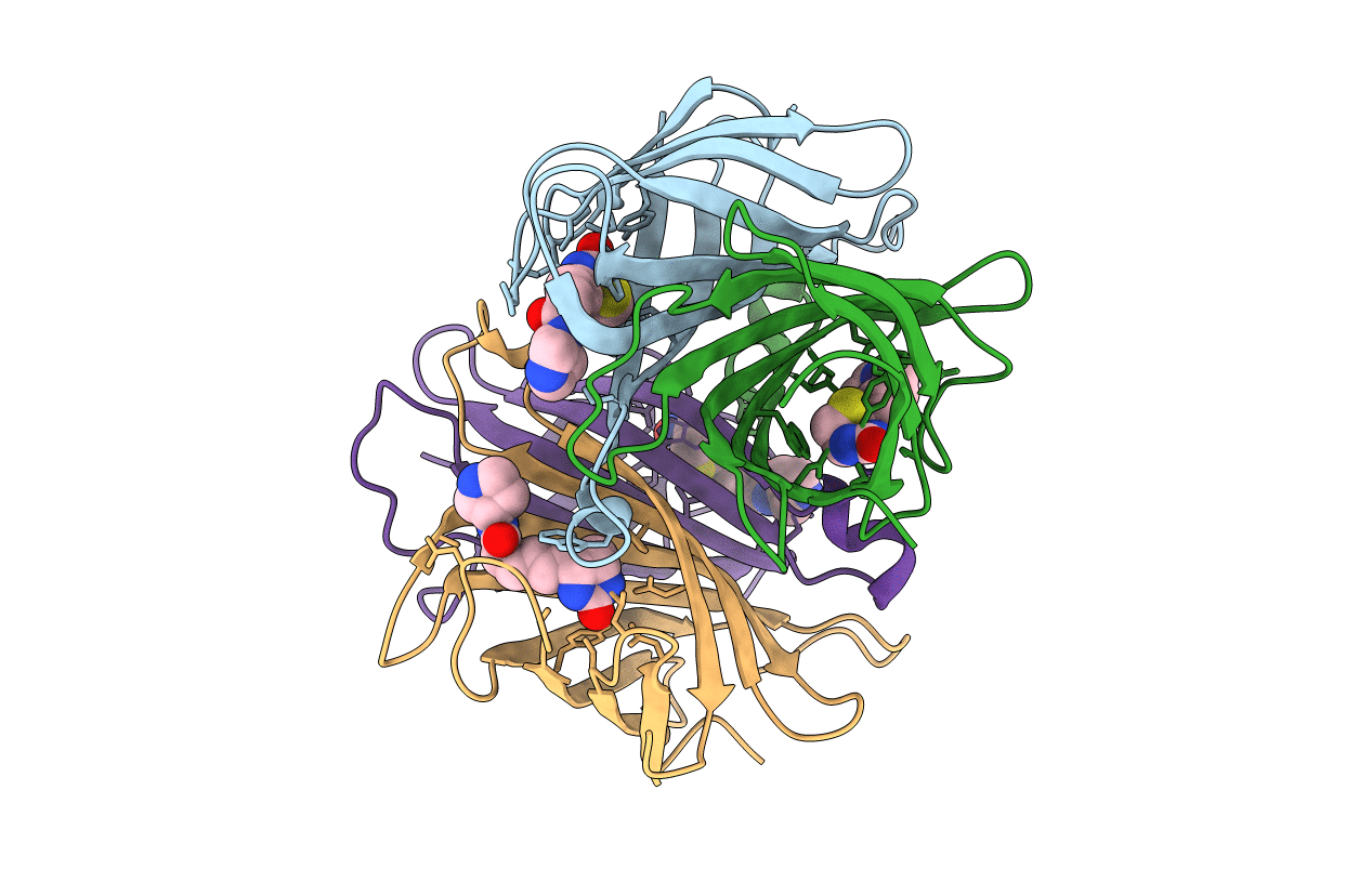 7NLV image
