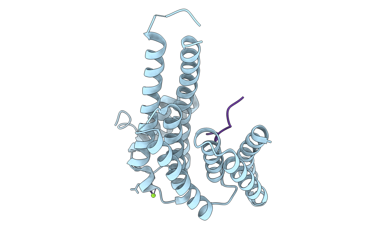 7NMA image