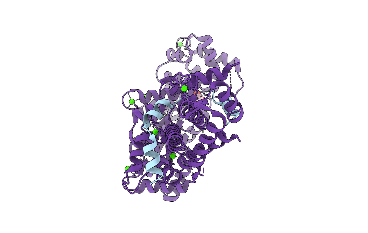 7NMI image