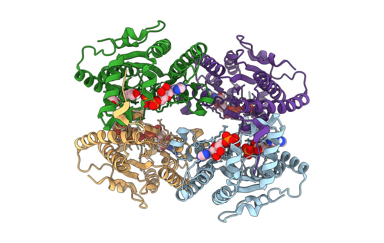 7nmj image