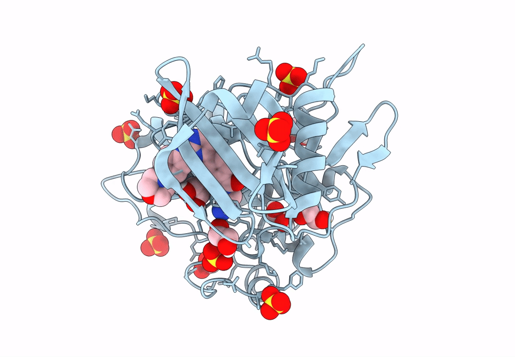 7NNS image