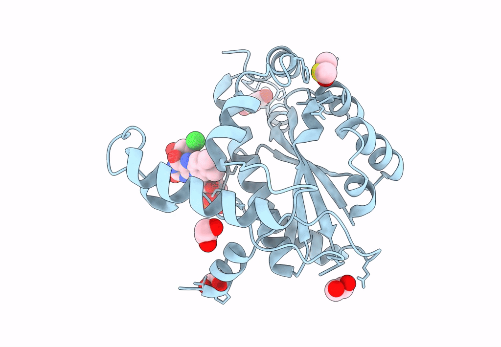 7NNX image